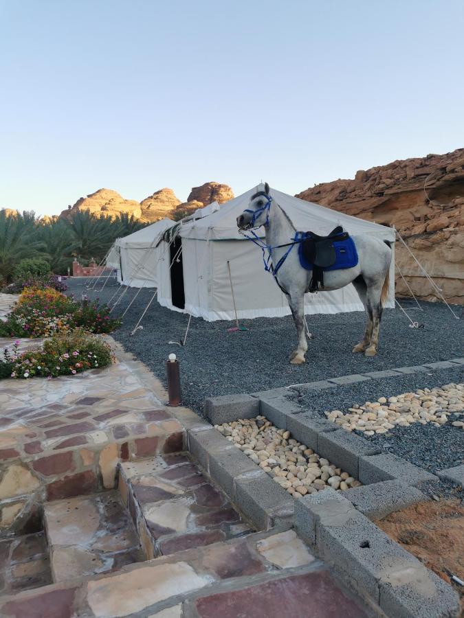 Rural tents Naseem الخيمةالريفيةAlouzaib العلا المظهر الخارجي الصورة