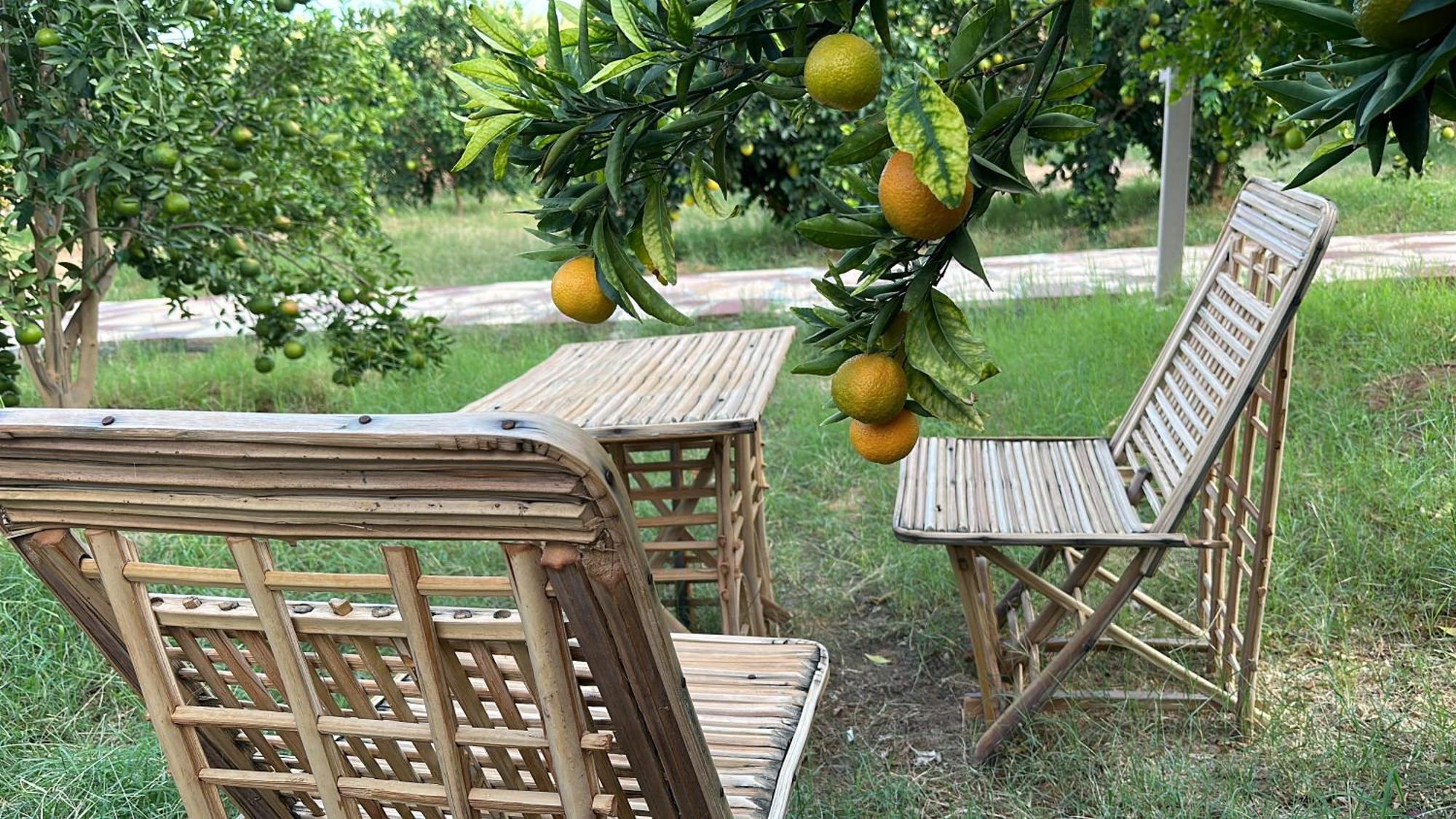 Rural tents Naseem الخيمةالريفيةAlouzaib العلا المظهر الخارجي الصورة
